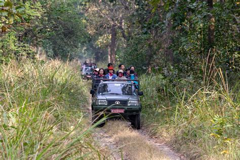 Chitwan National Park 2 Nights 3 Days Wildlife Jungle Safari Package