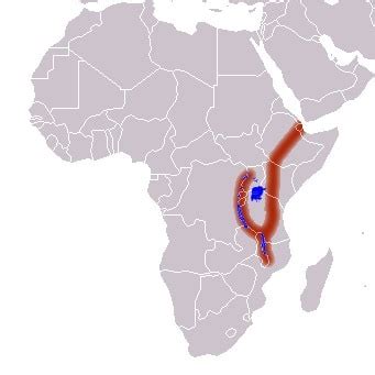 Cartina Africa Rift Valley