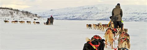 Arctic Circle holidays & tours in 2025 & 2026 | Responsible Travel