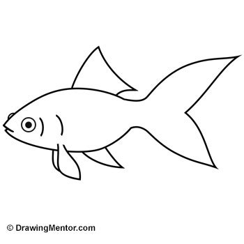 How To Draw A Goldfish: Easy Steps For Beginners - Vet Advises