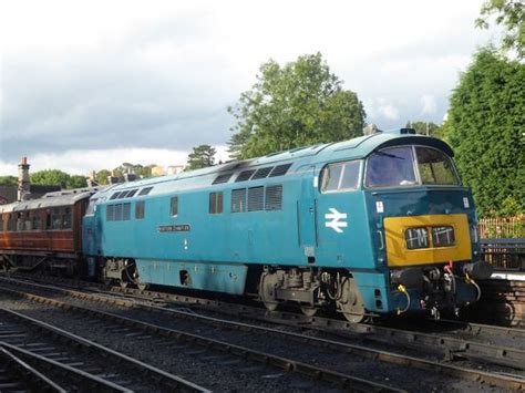 Br Class 52 D1015 Western Champion Svr Wiki