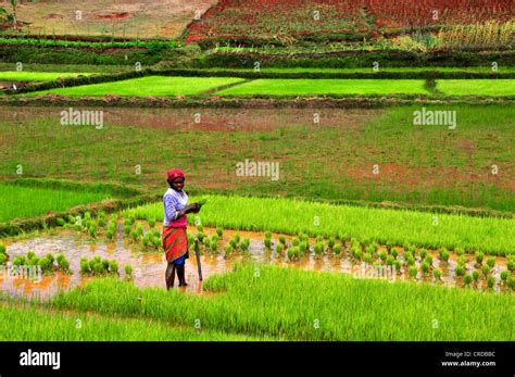 Highlands In Madagascar Hi Res Stock Photography And Images Alamy