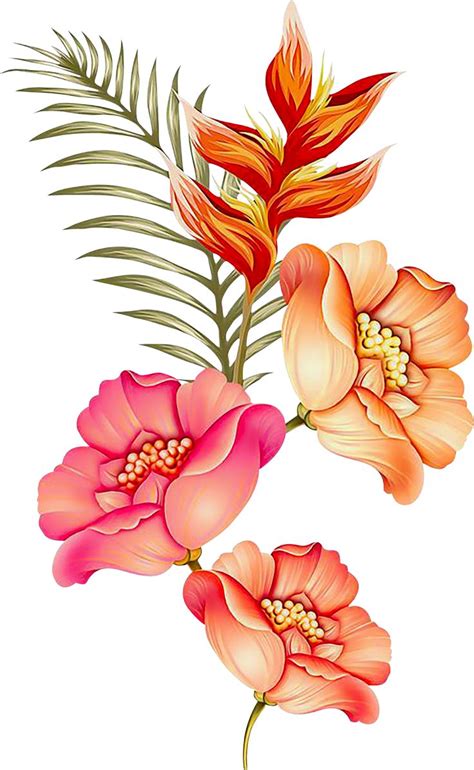 Pin By Kiran Ch On Flowers Flower Prints Art Botanical Flower Art