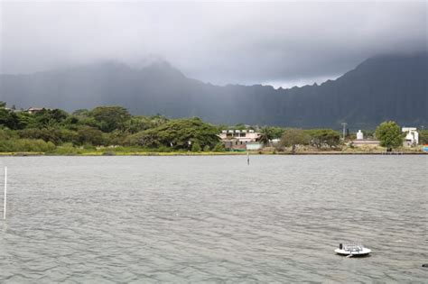 Sensor Startup Helps Revive Centuries Old Hawaiian Fishpond The Fish