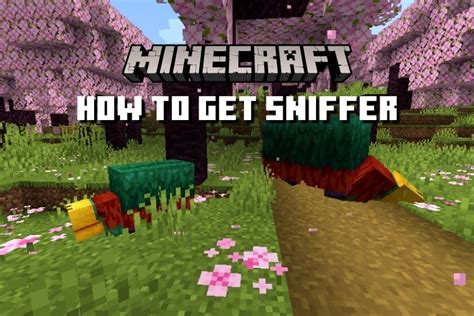 Sniffer In Minecraft 120 Everything You Need To Know