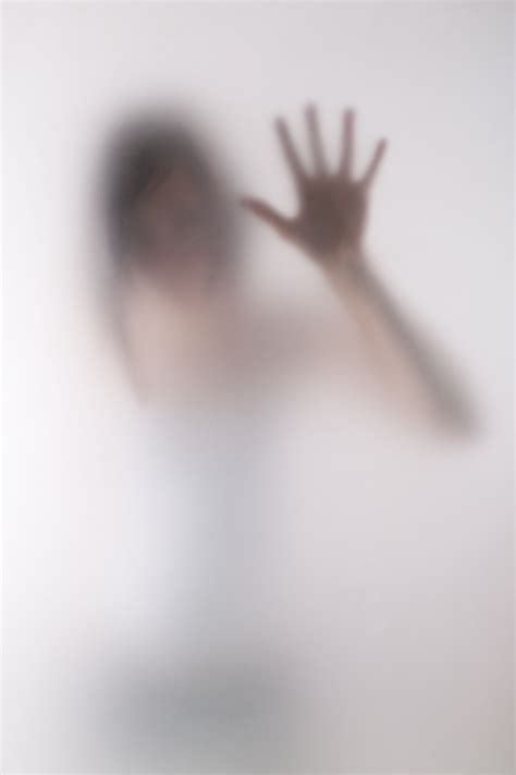 window film  privacy tint