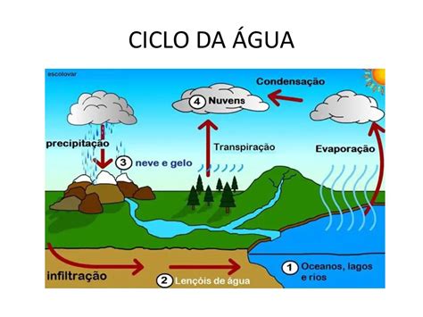 Por Que O Ciclo Da Água é Importante Na Natureza Mundo Ecologia