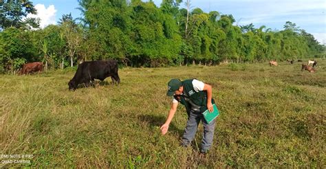 Loreto Promoverán tecnología para impulsar actividad agropecuaria en