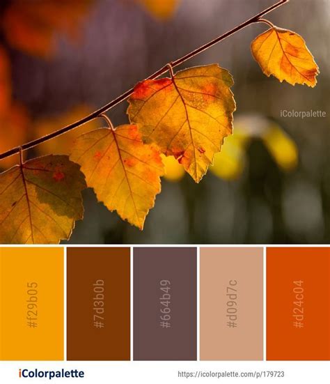 Color Palette Ideas From Autumn Images Icolorpalette