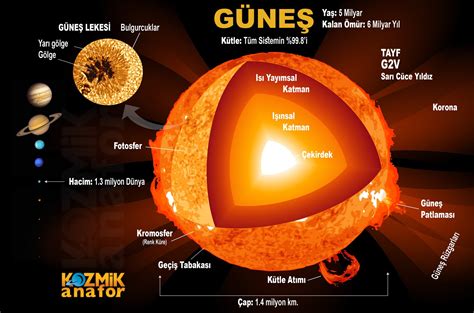 G Ne In G Ne Sistemindeki Etkileri Nelerdir G Ne Sistemindeki