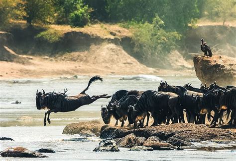 6 schönsten Strände in Kenia WeDesignTrips