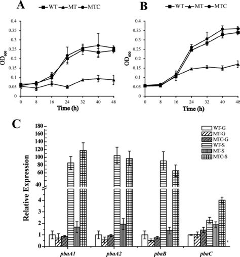 Growth Of Wild Type Strain Jz 1 T Wt The Pbar Knockout Mutant Mt