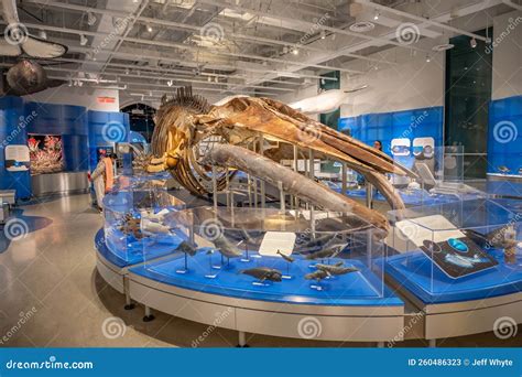 Canadian Museum of Nature, Ottawa Editorial Stock Photo - Image of ...