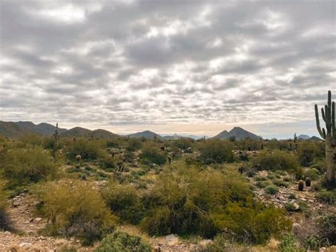 8 Amazing Trails to Tackle when Hiking in Scottsdale