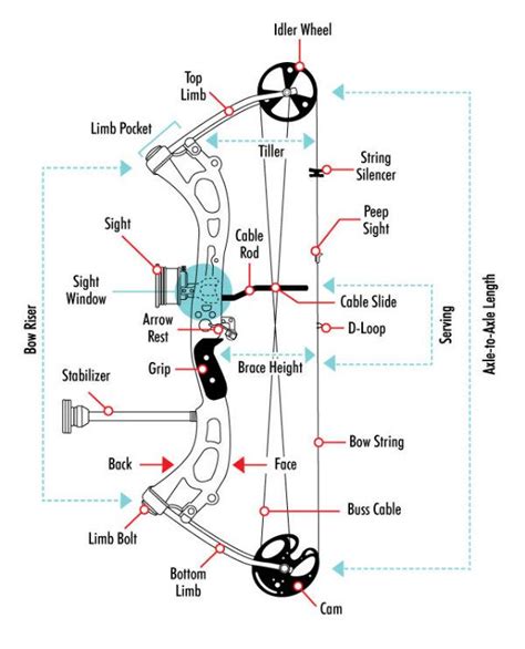 A Basic Guide To The Parts Of A Bow Archery Compound Bow Archery Bows