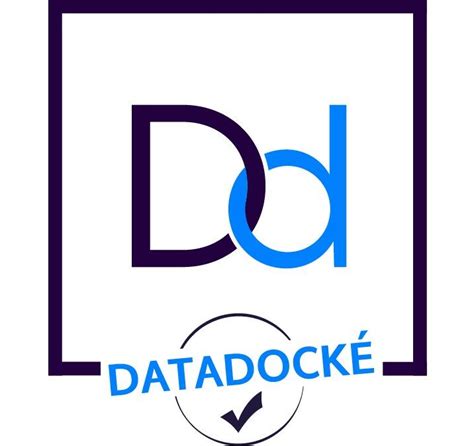 DataDock Logo Png AFIGEC Informatique