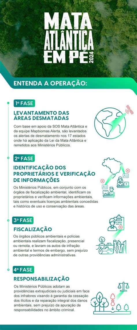 Nova edição da Operação Mata Atlântica em Pé acontece em 17 estados e