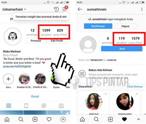 Cara Melihat Akun Fake Instagram Panduan Lengkap