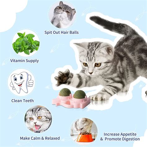 2023 New Catnip Balls For Cats Wall Catnip Ball Toy 2 Pack Edible Cat