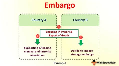 Embargo (Definition, Types) | How Embargo Works?