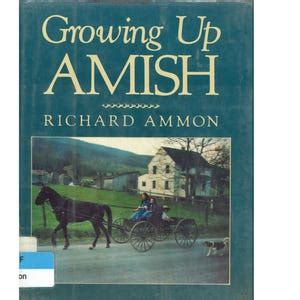 vintage childrens book growing  amish richard ammon pennsylvania