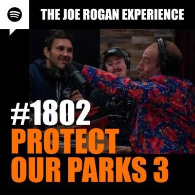 Shane Gillis Episodes - Joe Rogan Podcast