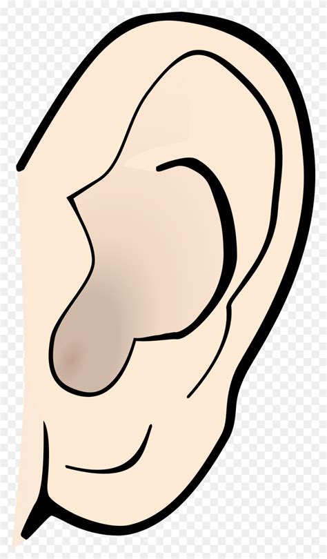 Hearing Loss Free Clipart Illustrations - Hearing Loss Clipart - FlyClipart