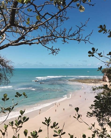 Praia do Madeiro guia completo desse paraíso no Rio Grande do Norte