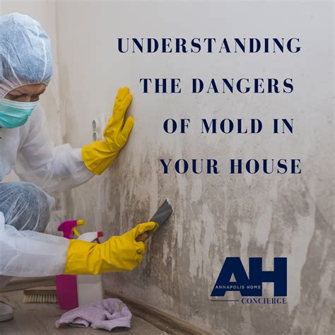 Dangers Of Mold In Your Home Annapolis Home Concierge