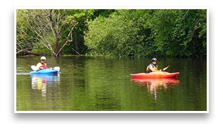 Langlade County Wisconsin Tourism: Discover the Beauty of Langlade County