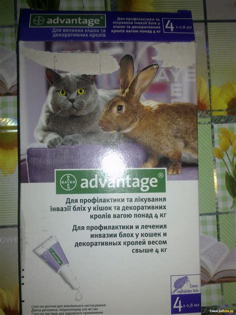 Отзыв про Инсектицид от блох для животных Bayer Advantage для кошек и ...