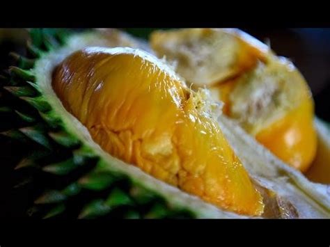 Durian Info How To Chose And Eat A Good Durian