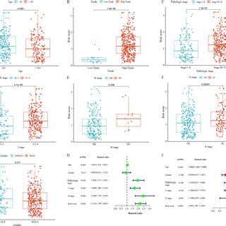 Clinical Relevance Of The Prognostic Model Ag Risk Score Differences