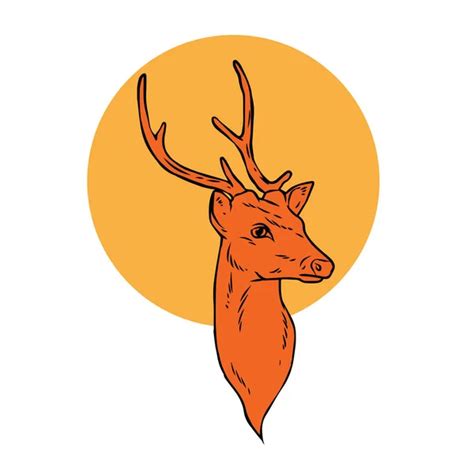 Illustration Deer Head Monochrome Color Vector Lineart Illustration