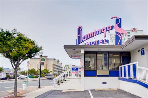 Flamingo Motel, Ocean City – Updated 2023 Prices