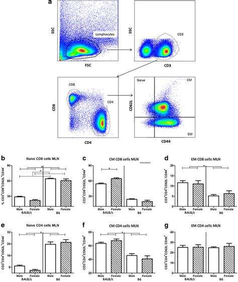 Sex And Strain Dependent Differences In Mucosal Immunology And