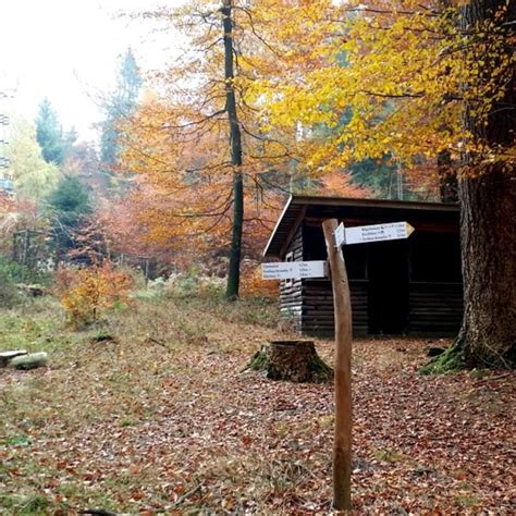 Wandern Pf Lzer Rundwanderung Mit Einkehr Hofstaetten Tour