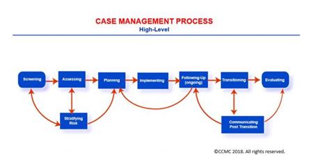 Introduction To The Case Management Body Of Knowledge CCMCs Case