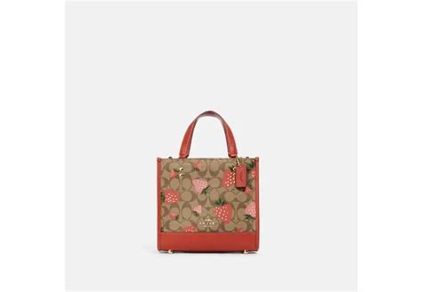 Discover Great Products At The Best Prices At Dealmoon Dempsey Tote 22