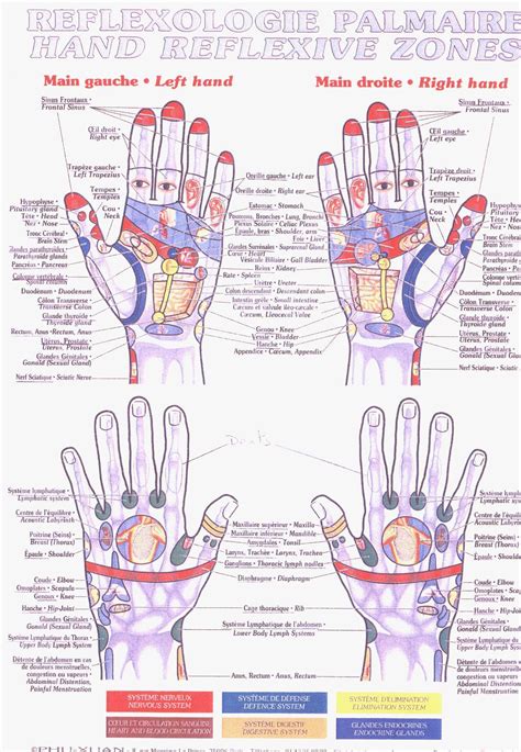 La Réflexologie Palmaire Shiatsu Rande