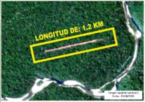 Perú Más De 12 Mil Hectáreas De Deforestación Y 9 Pistas De Aterrizaje