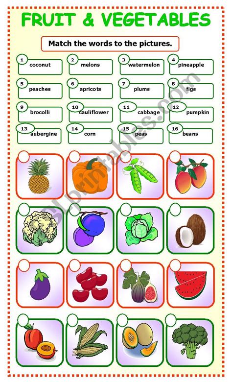 Fruit And Vegetables Matching 3 Esl Worksheet By Teacher 78