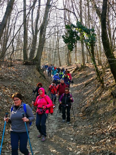 COLLI EUGANEIIL SENTIERO DEL MONTE VENDA Sottosezione Di Noventa