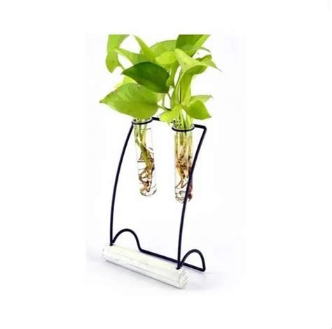 Hanger Metal Stand Glass Tube Terrarium At Rs 659 Piece New Items In Bengaluru Id 23633232355