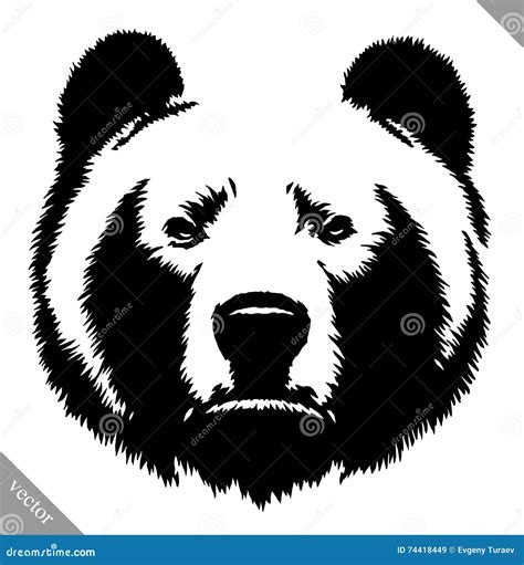 Black And White Ink Draw Bear Vector Illustration Stock Vector