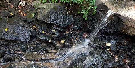 Runoff Pollution - Chesapeake Bay Foundation