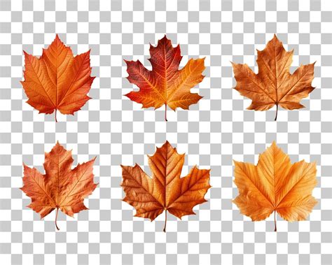 Autumn Leaf Clipart Clip Art Commercial Use, PNG Images, Digital Images ...