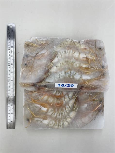 Prawn Sea White Prawn Head On Shell On 700gm Kl Selangor Malaysia