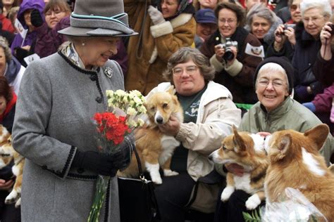 90 Years of Queen Elizabeth Looking Lovingly at Corgis - Racked