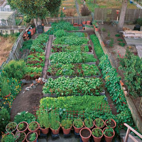 A Mini-Farm in San Francisco - Fine Gardening